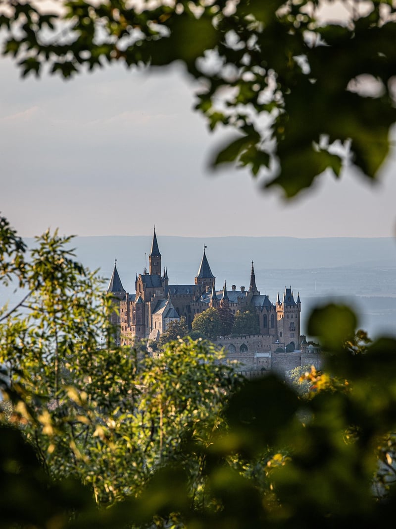 Castle in the Mountains
